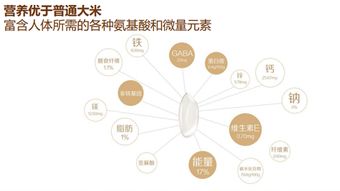智谷良品 構(gòu)建新消費時代的智慧生活品牌全案策略